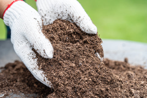 Premium Topsoil