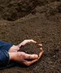 Person holding a handful of soil against a pile of soil