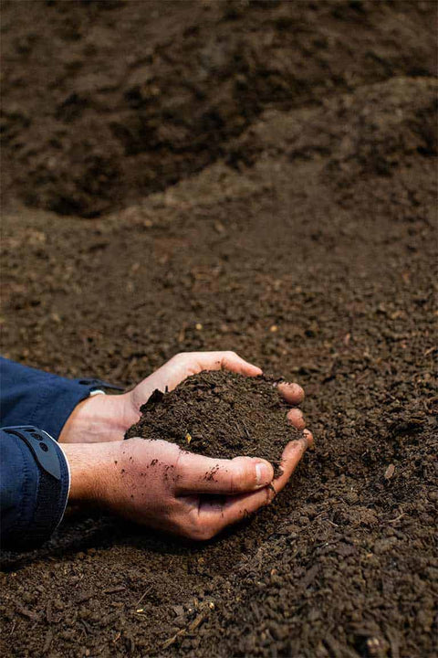 Person holding a handful of soil against a pile of soil