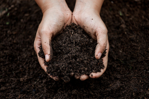 Hands holding a clump of dark brown compost against a matching background