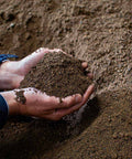 Hands scooping soil from a larger pile