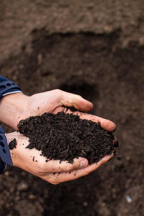 Hands holding dark compost against a brown soil background