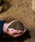 Person holding a handful of soil against a sandy background