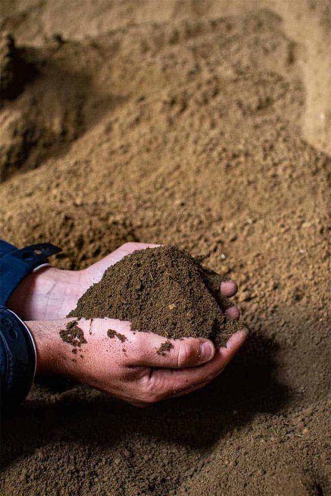 Person holding a handful of soil against a sandy background