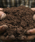 Hands holding a handful of soil against a blurred background
