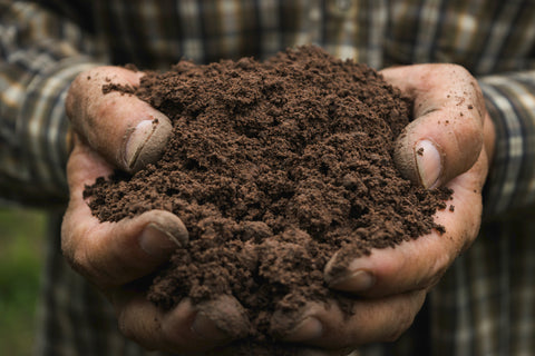 Hands holding a handful of soil against a blurred background
