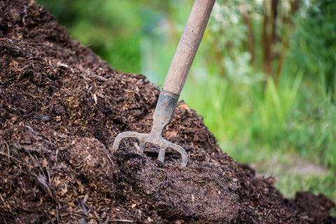 Rake on a pile of compost with greenery in the background