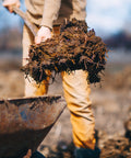 Person holding a bundle of manure over a wheelbarrow.